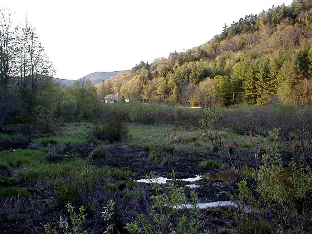 Mountain Valley Retreat Killington Bagian luar foto