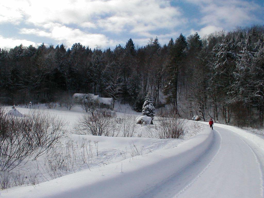 Mountain Valley Retreat Killington Bagian luar foto
