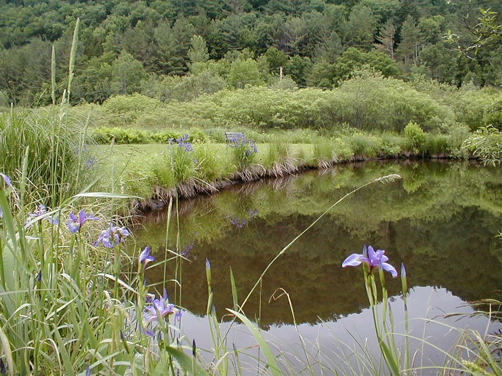 Mountain Valley Retreat Killington Bagian luar foto