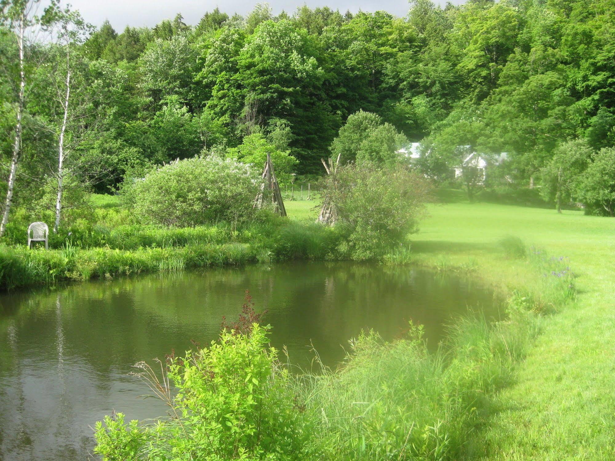 Mountain Valley Retreat Killington Bagian luar foto